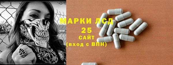 крисы Аркадак