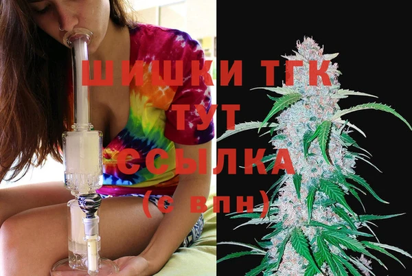 крисы Аркадак