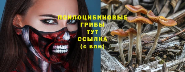 первитин Армянск