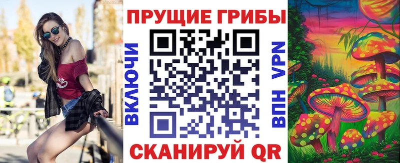 хочу   Карачаевск  Псилоцибиновые грибы ЛСД 